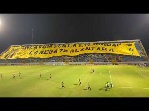 "SGD'S/AURI, la MEGA BARRA dejando saber quién manda en toda HONDURAS..." Barra: Mega Barra &bull; Club: Real España