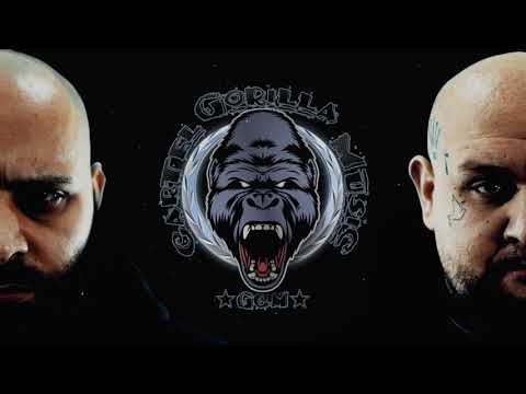 Gorilla Cartel Music - Okolí