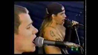 Red Hot Chili Peppers - Live PinkPop Festival 1990