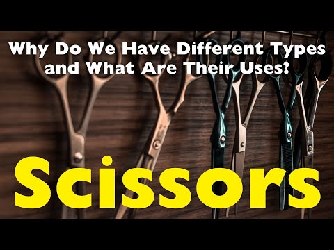 Scissors 101: Which Type Is Right for You?