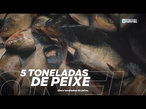 Feira do Pescado 2023. 
