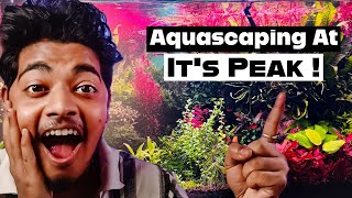 Professional Contest level Aquascapes EXPLAINED !   (Planted tank reaction (EP-8)