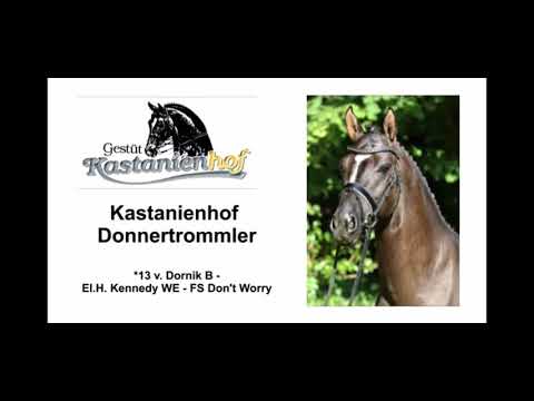 Kastanienhof Donnertrommler 2018