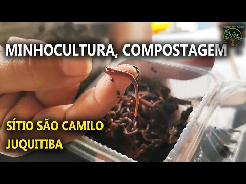 Minhocultura Curso realizado no Sítio São Camilo em Juquitiba