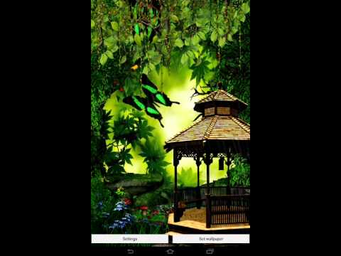 Butterfly Live Wallpaper Video
