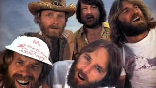 The Beach Boys "Matchpoint of our love" feat. The Avalanches (After the Goldrush, 2008)