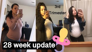 28 Week Pregnancy Update: Glucose test/Braxton Hicks/Hip Pain and more...