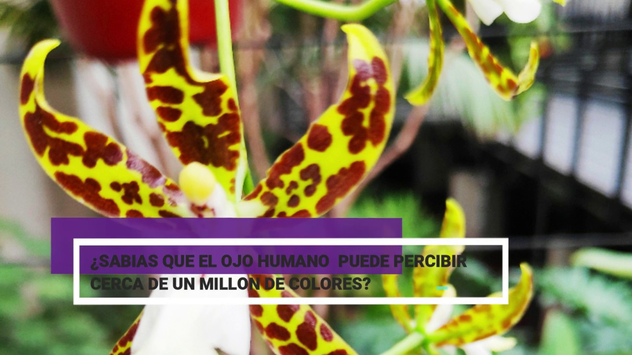 Jesús Alejandro Reyes Calderón-10