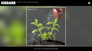 IshDARR - Never Ask (Subpar Funk) (Audio)