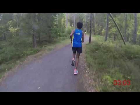 Annaloppet 2018 - 5,2 km (Löparperspektiv)