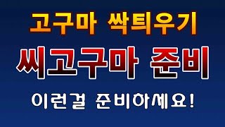 [텃밭농부.902]  씨고구마 싹틔우기 준비사항 #고구마순재배 #고구마재배