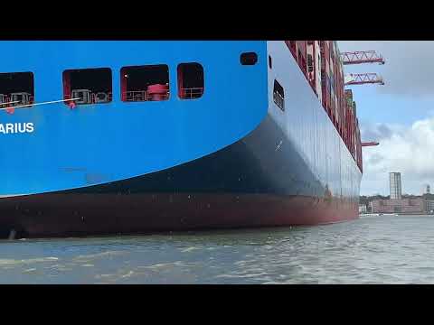 Bipolar Feminin - Herr Arne