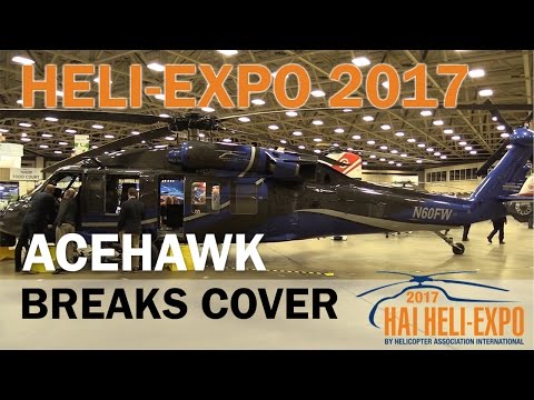 Acehawk Breaks Cover