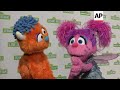 Katie Couric Joins Sesame Street Muppets On Red Carpet For Annual Gala