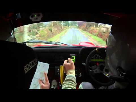 Jack Newman / Andrew Browne - Killarney Historic Rally 2014 - Stage 3