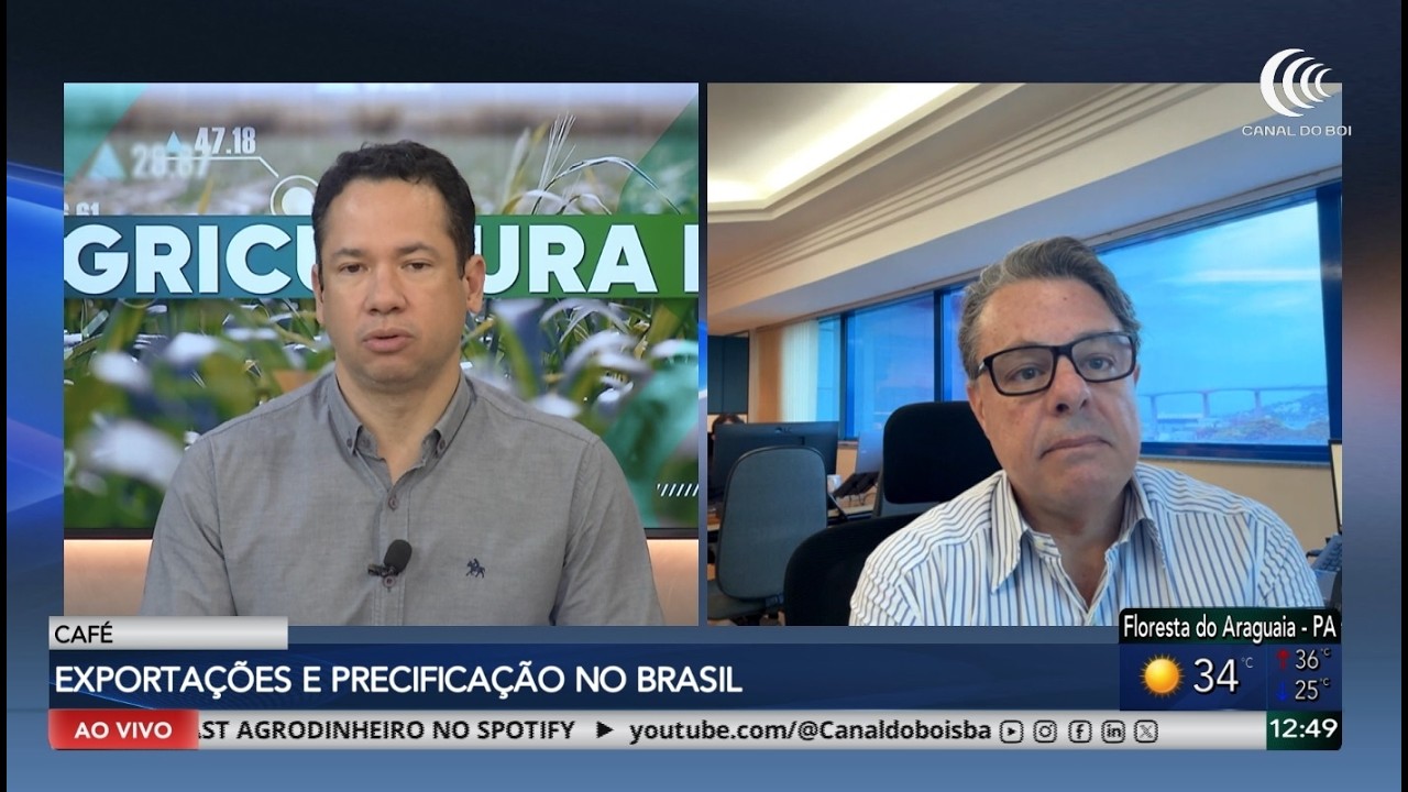 Mercado brasileiro do café com bom ritmo das exportações e equilíbrio entre oferta e demanda