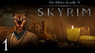 SKYRIM - Кошка в Городе Воров 🌇