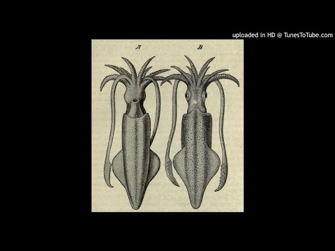 Seen Links Schlösser Rechts - Gute Freunde (1982)