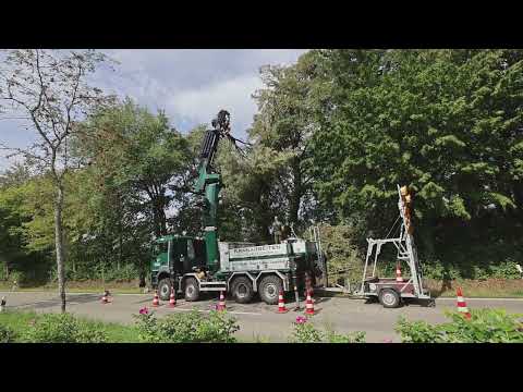 Gebele Baum | Garten | Landschaft: MAN knuckle boom truck with Palfinger PK 135002 crane and GMT050 TTC grapple saw