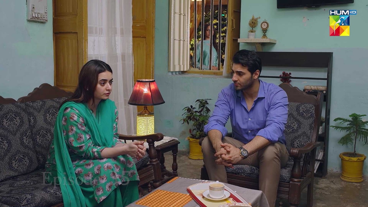 Tumhary Sath Dosti Ka Khoobsurat Rishta...! #hadddrama #MinsaMalik #nabeelzuberi - HUM TV