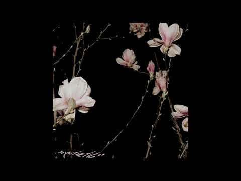 [2021] xoxoswitch - Synthetic. [DELETED]