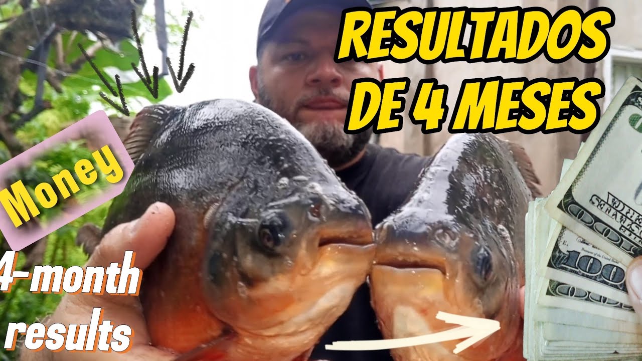 Cosecha de Cachama 750g