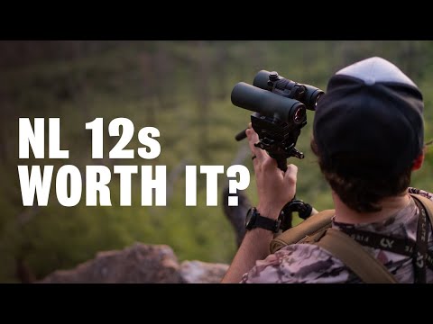 Swarovski NL Pure – 8x42, 10x42, or 12x42?