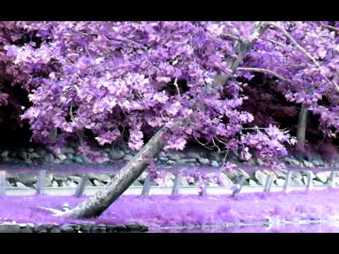 Billy Johnston - Haunting (Original Mix)