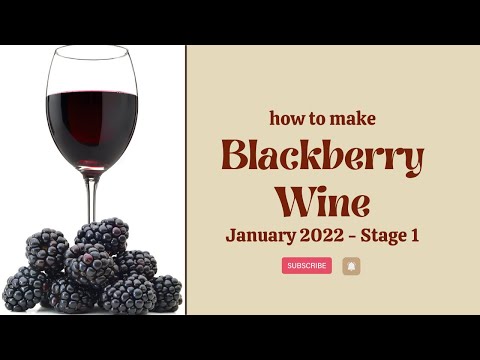 Homemade Blackberry Wine Part 1