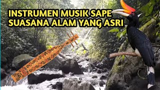 Download lagu INSTRUMEN MUSIK SAPE SUASANA ALAM YANG ASRI mp3