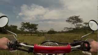 preview picture of video 'Lost in Lake Mburo National Park'