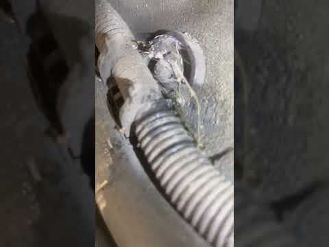 2016 mini Cooper fault code 190302 micro leak evap system. Easy diagnosis and repair to say hundred$