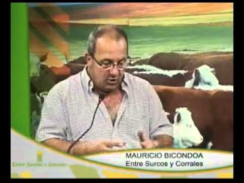 Entre Surcos y Corrales - Programa 47 - Parte 1 de 5