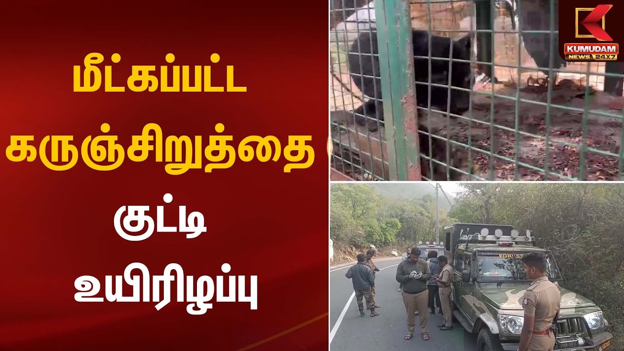 மீட்கப்பட்ட கருஞ்சிறுத்தை குட்டி உயிரிழப்பு | Black panther | Kumudam News