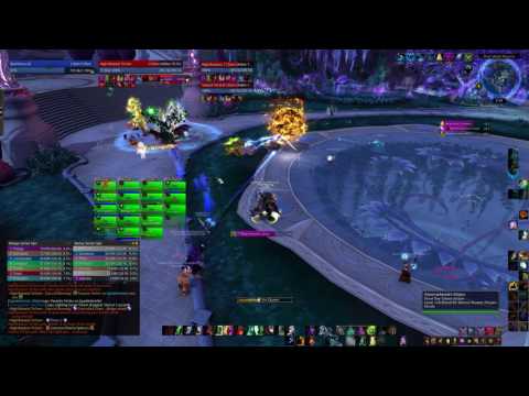 Heroic High Botanist  Tel'arn