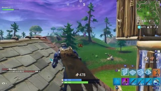 リハビリFortnite配信　ビクロイ取りたい　BFV BF5クラメン募集中 詳しくは配信