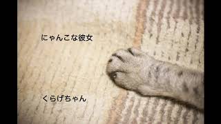 【男性向けボイス】にゃんこな彼女【くらげちゃん】
