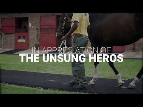 The unsung heroes of the horse industry!