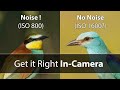 How to REDUCE NOISE in your Wildlife Photos - WITHOUT Post-Processing OR Noise Reduction Software!