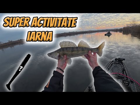 Am Avut O Super Partida La Salau in Decembrie | Pescuit Din Caiac