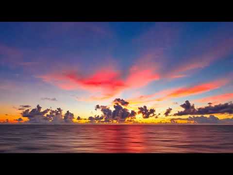 Barbara Furtuna - I Verani