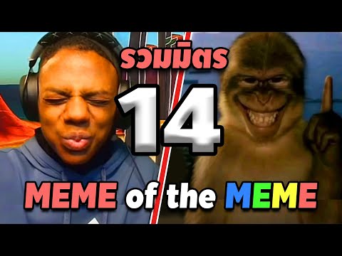 รวมมิตร ภาพนี้ก็ฮาเหมือนกันนะเนี้ย #14 SS2 [ พากย์นรก MEME.EXE ] | easy boy