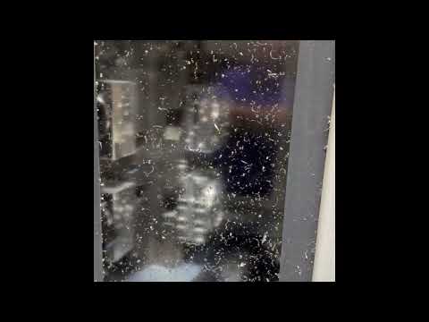 2008 MORI SEIKI NH4000 DCG Horizontal Machining Centers (CNC) | CNC EXCHANGE (1)