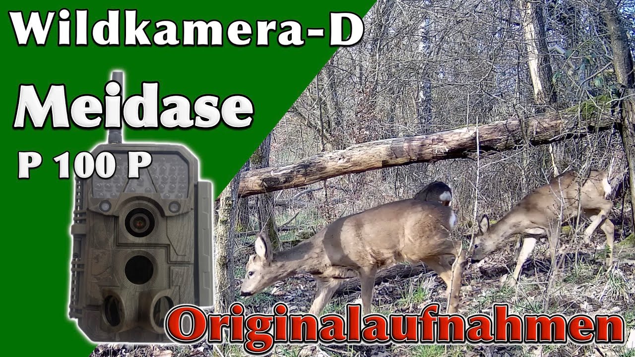 YouTube Video Vorschau