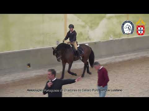 220428 4 Proj Ensino APSL&FEP -  Diogo Santos com Nadir