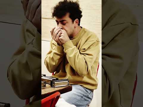 🔥 When Passion Meets Creativity – Lee Oskar, Moses Concas & Taro Senga! 🎶