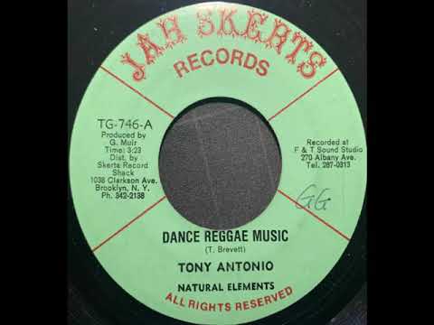 Tony Antonio and the Natural Elements - Dance Reggae Music / Version