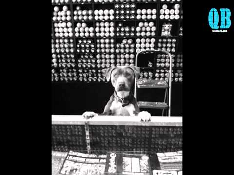 Mauri   Calos entre vagones