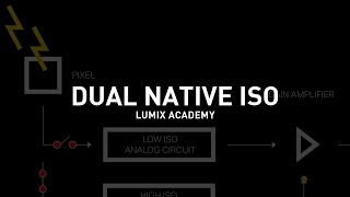 Panasonic Lumix Academy: ISO nativa dual anuncio