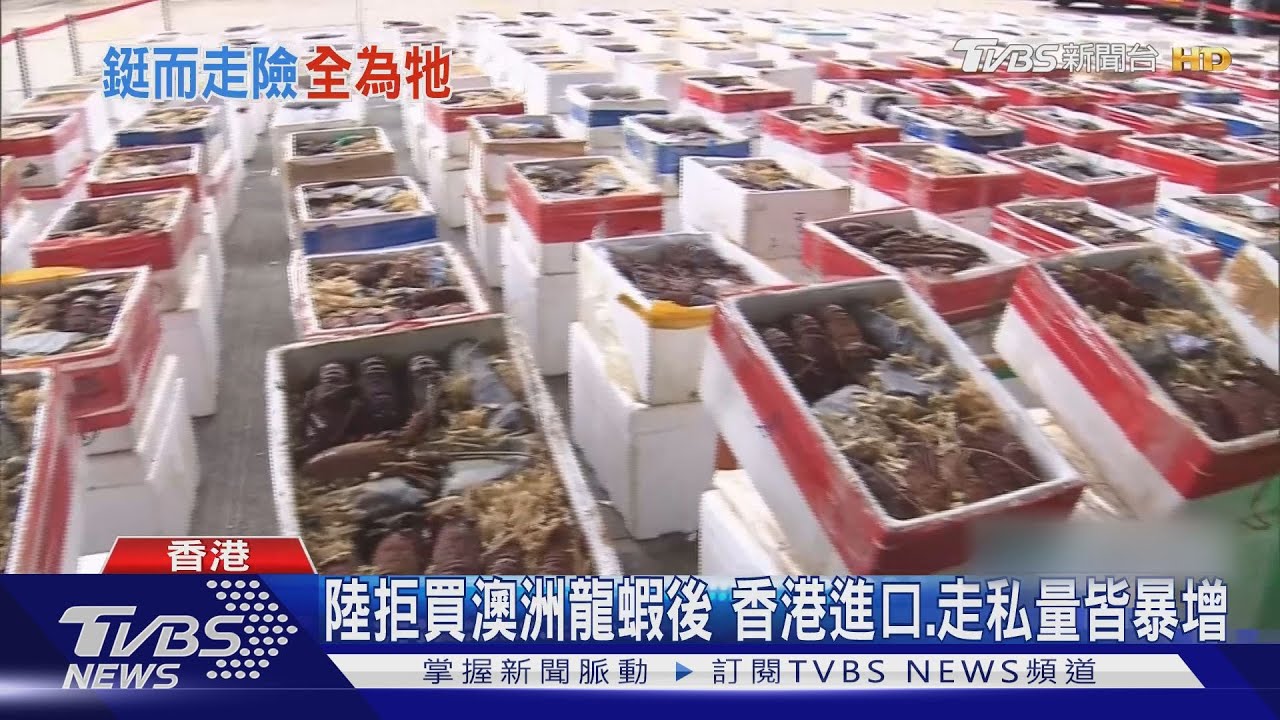 陸拒買澳洲龍蝦後　香港進口、走私量皆暴增